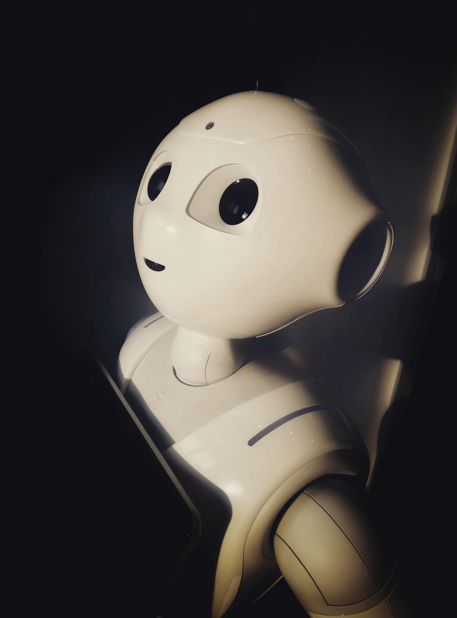 Image of Pepper the robot.